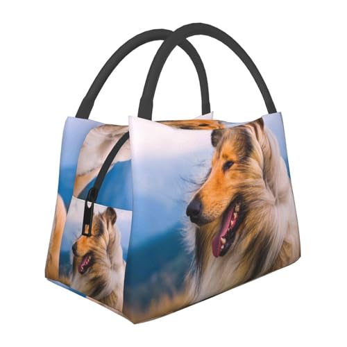 ۗ ܌ `obO ubN ٓ tR[ VbsOobO  GRobN ۉobN N[[obO | ٓ `{bNX ٓobO ۗobO