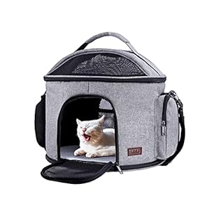 AMJ Cat Carrier Dog Carrier Airline Approved, Pet Carrier Portable Collapsible with Top Mesh Window, Travel Puppy…