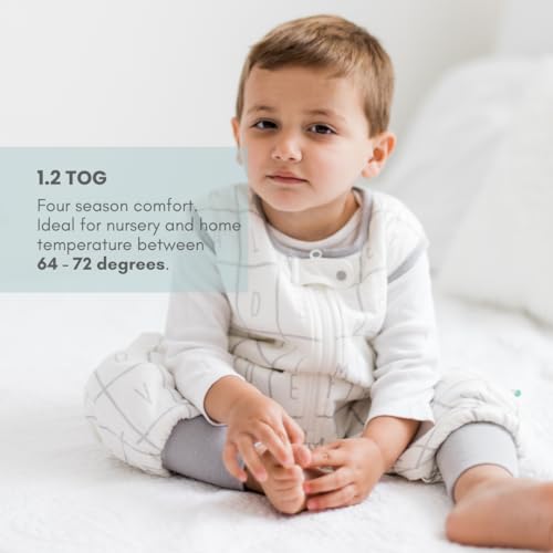 Image of Tealbee Dreamsuit Toddler Sleep Sack with Feet - Walker Sleep Bag with Legs, Rayon made from Bamboo, All Season 1.2 TOG, 2-Way Zipper, 12m-2T - Alphabet