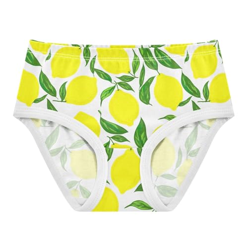 Joisal Fun Toddler Underwear Floral 2t Cotton Little Girl Panties Yellow Lemons Green Leaves Briefs Girls Undies