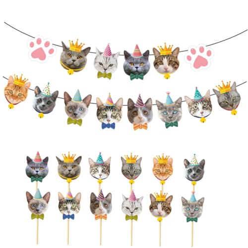 Beaupretty L̃P[Lgbp[ 48 ybge[}p[eB[fR[V P[LsbN a  p[eB[p