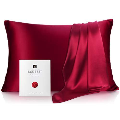 Yanibest Silk Pillowcase for Hair and Skin, Standard Queen King Pillow with Hidden Zipper, Soft Breathable Smooth Cooling Pillow for Sleeping