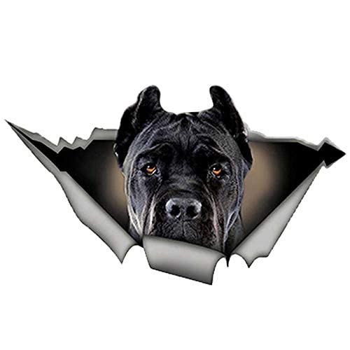 EARLFAMILY 5.1'' Black Cane Corso Car Sticker Torn Metal Decal Reflective Stickers Waterproof Car Styling Pet Dog Decals