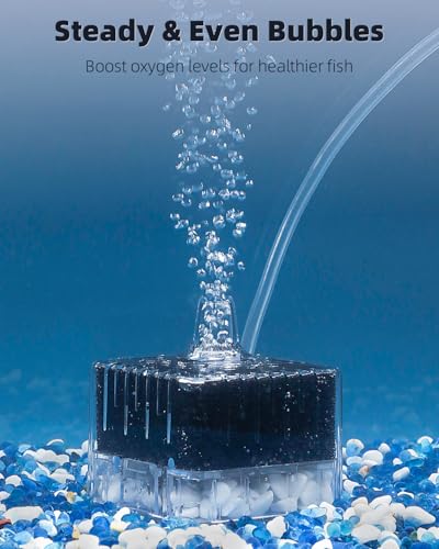 Image of Pawfly Aquarium Sponge Filter for Fish Tanks up to 5-20 Gallons, Small Fish Tank Filter, Sponge Filter with Foam and Air Stone (Air Pump Not Included)