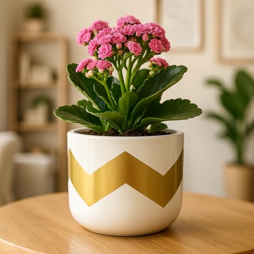 Image of Urban Plant Terracotta Pot - Trendy Planter for Modern Home & Garden Spaces (Nova Terracotta Pot - White)