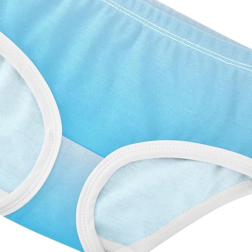 Joisal Durable Girls Underwear Toddler 2t Cotton Panties for Girl Magnolia Deep Sky Blue Gradient Kids Briefs Undies4