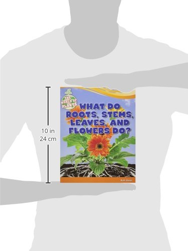 What Do Roots, Stems, Leaves, and Flowers Do? (The World of Plants) - Image 3