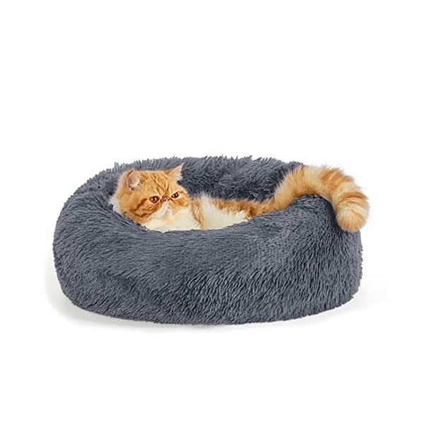 Bedsure Calming Cat Beds for Indoor Cats – Small Cat Bed Washable 20 inches, Anti-Slip Round Fluffy Plush Faux Fur Pet Bed, Fits up to 15 lbs Pets, Dark Grey