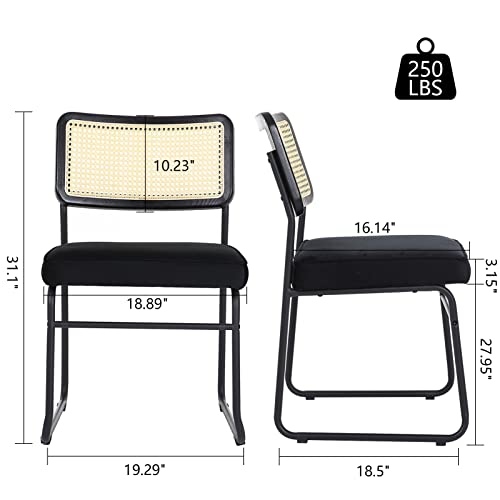 Bioopts Mid Century Modern Dining Chairs Set Of 2, Accent Rattan Kitchen Room Chairs, Velvet Armless Chair With Metal Chrome Legs, Mesh Back Cane Chairs Upholstered Side Chair For Home #TOP1
