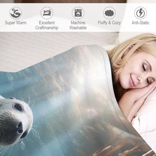 Couverture phoque pour des soirées cocooning au chaud
