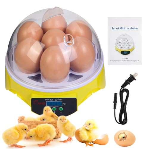 7-Egg Mini Egg Incubator with 360° View