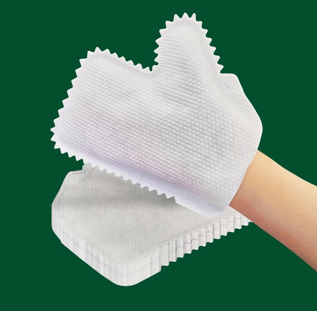 Set 2 Guanti Antipolvere Beldray Antibac – Microfibra Trattata Antibatterico, Polsini Elastici, Lavabili In Lavatrice, Taglia Unica Menta