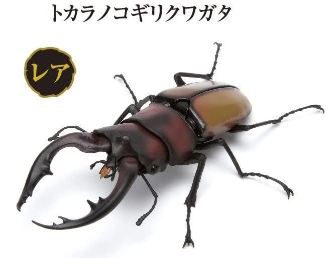 【ガシャポン】いきもの大図鑑　くわがた03　トカラノコギリクワガタ Amazon.co.jp: ガシャポン いきもの大図鑑 くわがた03 トカラ