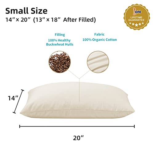 Lofe Organic Buckwheat Pillow For Sleeping - Small Travel Size14X20, Adjustable Loft, Breathable For Cool Sleep, Cervical Support For Back And Side Sleepers(Tartary Buckwheat Hulls) #TOP4
