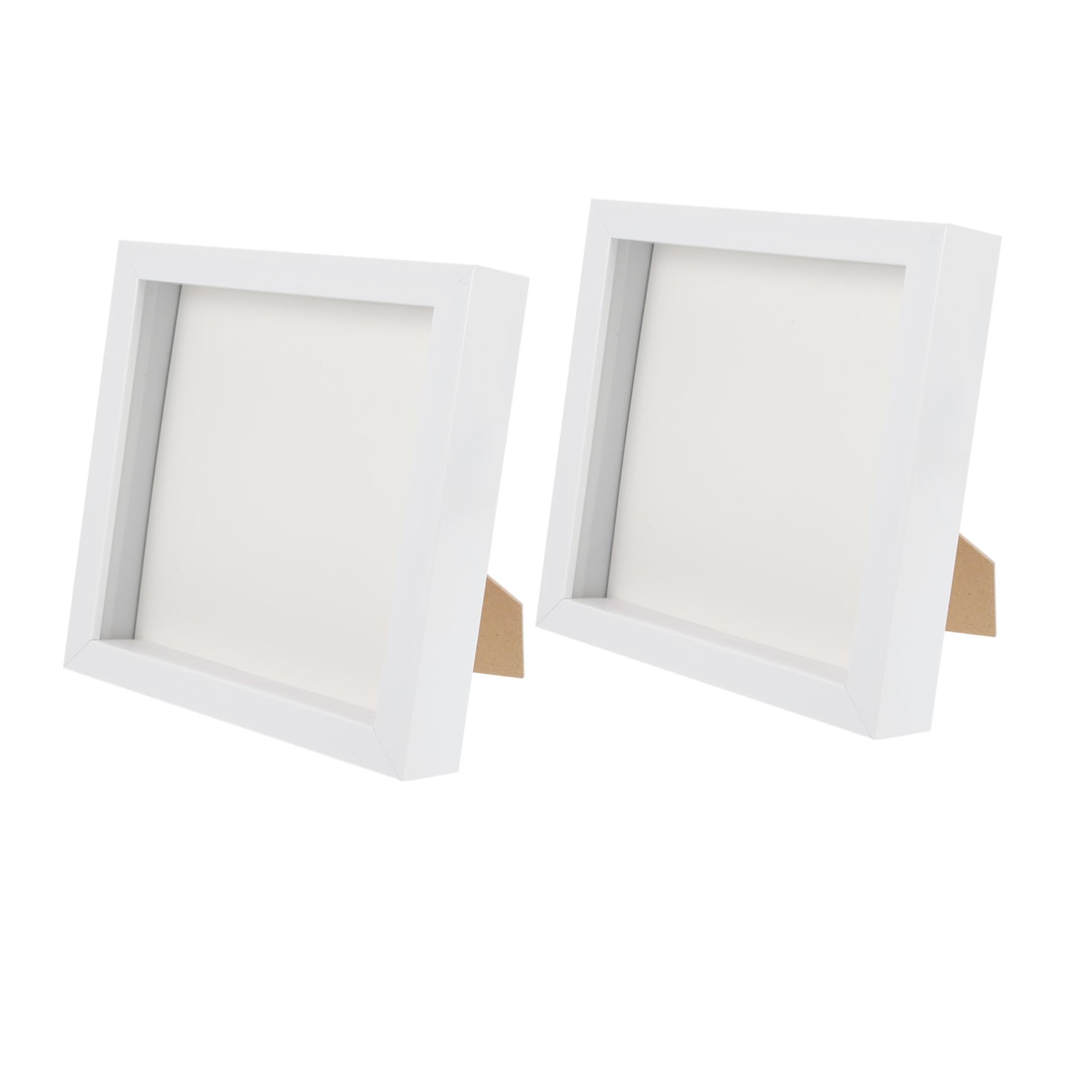 GOOHOCHY 2Pcs Dried Flower Display Frame Wooden Specimen Frame for Home Decor Elegant Design for Desktop Wall Mounting Present for Enthusiasts