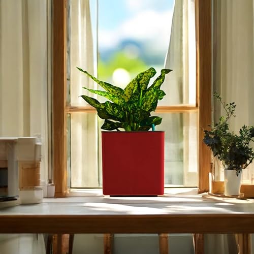 Image of Indian Discovery Self Watering Wall Hanging Planter|Hanging /Hooked Flower Pots for Home, Balcony, Vertical Garden Decor Flower Pots(1 PC, Maroon, Square) |6 Inch UV-Resistant Plastic Plant Pots