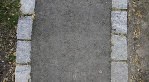 The Gospel of Matthew #14