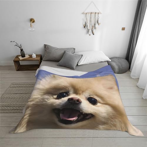 Couverture Poméranien en flanelle douce le cadeau parfait pour les passionnés de chiens