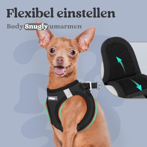 rabbitgoo Hundegeschirr Kleine Hunde, Step-in Welpengeschirr Weich Mesh für Spaziergänge, Atmungsaktives und Reflektierendes Brustgeschirr für Kleine und Mittelgroße Hunde, Schwarz, L