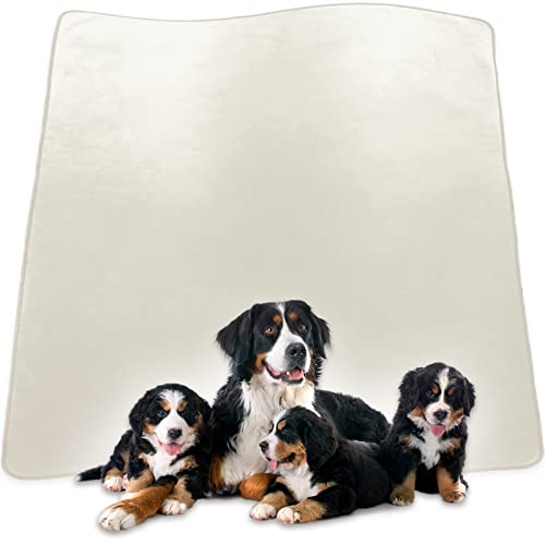 犬 ベッド おしっこの人気商品 通販 価格比較 価格 Com 犬 ベッド おしっこの人気商品 通販 価格比較 価格 Com