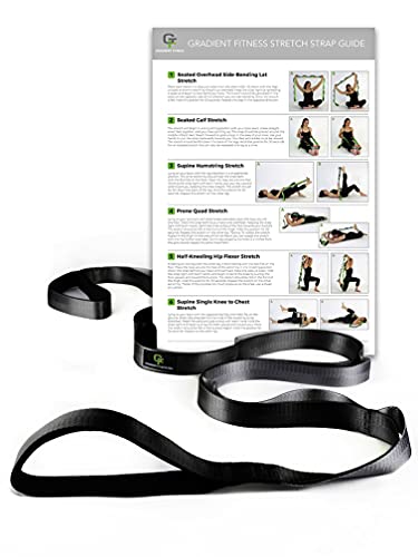 Gradient Strap 12 Multi-Loop Stretch Strap 1" W x 8' L