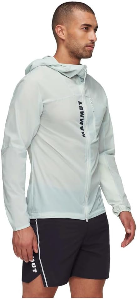 Mammut Aenergy WB Hooded Jacket - Men's, Silver Sage, XL