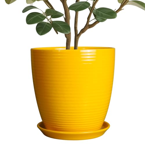 lawn best ceramic planter