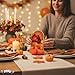 PMU Thanksgiving Honeycomb Decorations, 10in x 6in Turkey Table Centerpieces for Thanksgiving Party, Fall Harvest Themed Décor
