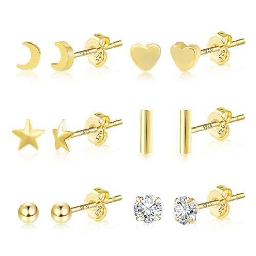 ASH'S CHOICE 6 Pcs Boucles Doreilles Femme Acier Inoxydable Piercing Oreille Cartilage Helix, S925/Plaqué Or 14 Carats