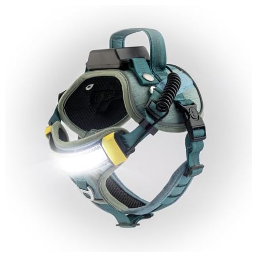 Lumi One LED Dog Harness
