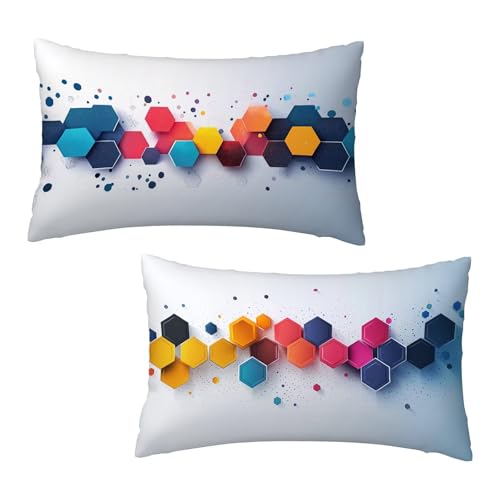 Funda Cojin 40x80 cm Blanco Fundas Cojines Sofa Geometría Juego de 2, Rectangular Terciopelo Fundas de Cojines con Cremallera Oculta Suave y Transpirables Sofa Decorativa Regalos para Mujer Decor A-4