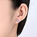 BG&WLing 925 Silver Post Cubic Zirconia Stud Earrings for Women Hypoallergenic Classic Solitaire CZ Crystal Earring Studs Fashion Jewelry(White)