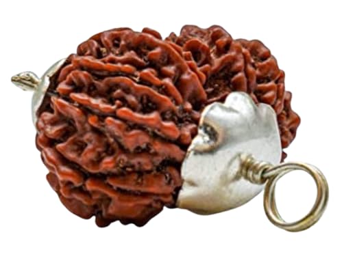 Gaurishankar Rudraksha Igl Certificate Natural Gorishankar Rudrshha 23mm Rare Combined Rudraksha गौरीशंकर रुद्राक्ष With Pendent for Jaap Mala Genuine Gauri Shankar Rudraksha Bead By Astro Cart-image-7