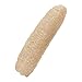 Spugna in luffa naturale, spazzola per la pulizia del corpo, accessorio per bagno, viaggi, doccia, toelettatura animali domestici immagine