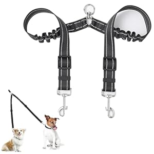 Lechisenop Doppelleine für 2 Hunde QXS00448-XXL