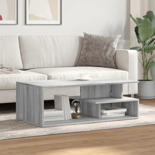 Table basse gris sonoma résolvant le manque de rangement du salon