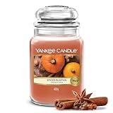 Yankee Candle Candela Profumata | Grande Barattolo Spiced Pumpkin| Candele a Lunga Durata:...