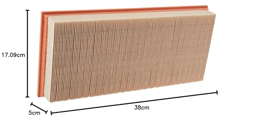 MANN-FILTER C 38 163/1 Filtro Dell'aria - Per Autovetture + Veicoli Commeriali - 2
