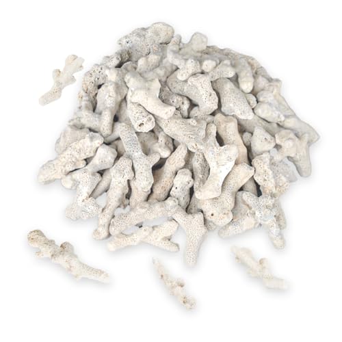 Jtuxcke Fish Tank Filter Crushed Coral for Freshwater Aquarium, Material Pond Filter Media to stabilize Raise ph in Freshwater Fish Tank Filter Medi Reusable Crushed corrals (500g/1.1lb)