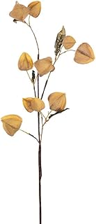 Vickerman 717585-30.5