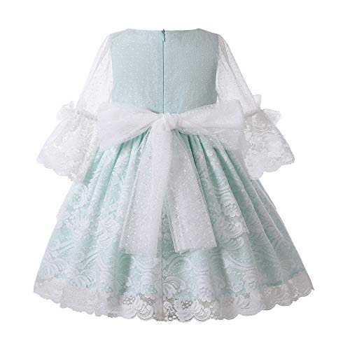 Pettigirl Girls Spring Light Blue Half Sleeve Clothing Toddler Princess Wedding Party Tulle Lace Dresses2