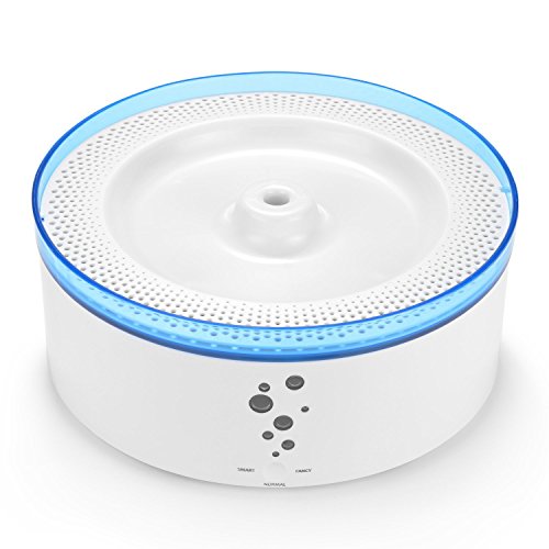 honest kitchen dog treats