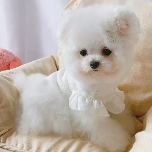 [SeitenFB]  ybg L hbOEFA TVcWPbg ^p ʋC _炩f {t  킢 EFA tėp zCg-L