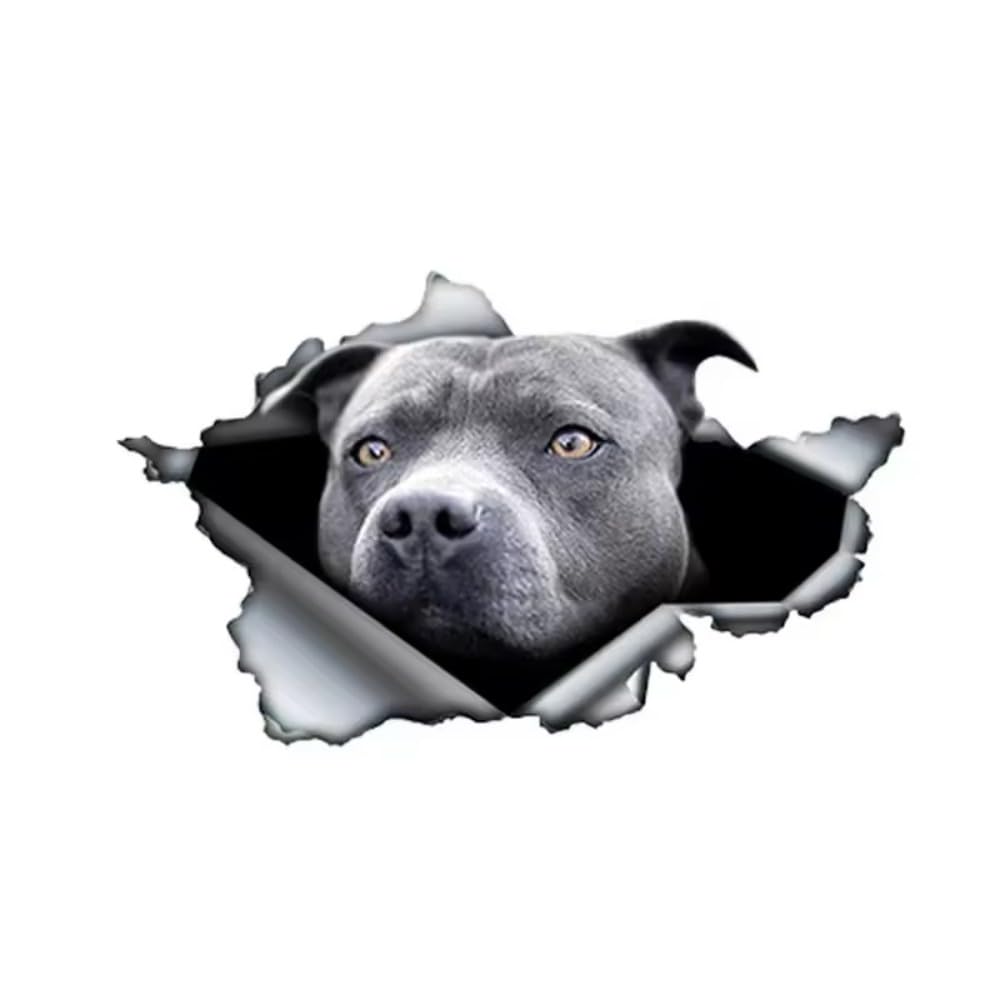 Französische Bulldogge Aufkleber, 3D Zerrissener Effekt, Was