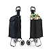 RELAX4LIFE Carrello della Spesa Pieghevole con Ruote,32,8 L Trolley Borsa per Spesa in Metallo con Portata di 35 kg, Tessuto Oxford e Plastica, 35 x 28 x 90 cm, Nero
