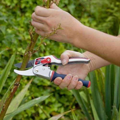 Ratschenschere Spear & Jackson 6458RS Razorsharp mit Ratschenmechanismus
