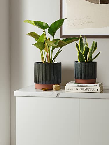 Image of LE TAUCI Ceramic Plant Pots with Drainage Holes, Set of 3, 8+6.7+5.5 Inch Stripe Garden Planter Pots for Outdoor Indoor Plants Flower, Round Succulent Orchid Flower Pot, Reactive Glaze Black