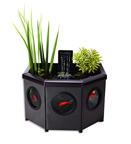 Aquagarden Raised Window Pond Halfmoon Mocha| Hochteich mit Sichtfenster, Inpond Pumpe & Filter, Pflanzkorb, Wasserspiel| attraktiver...
