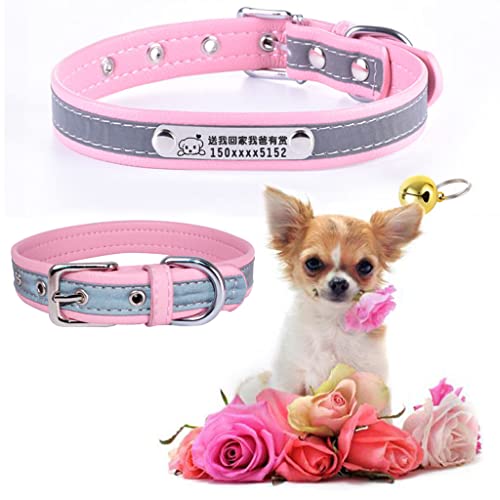 Weifire L   OԔ qDt _S ^ ^  Dt JX^}CY ybg ID^bO y TCY߉\ ybĝOAAdb\ (S, F)