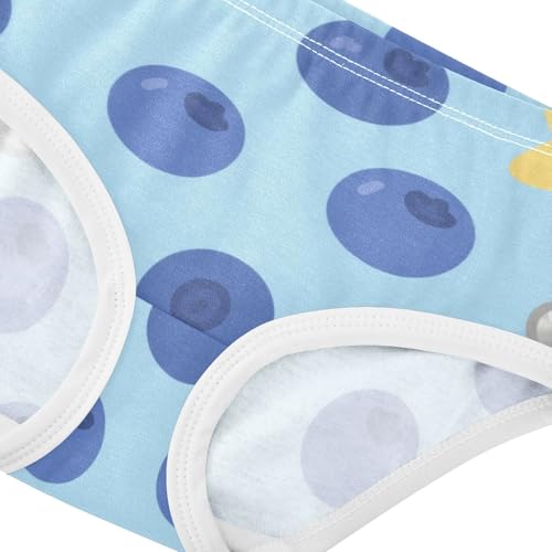 Girls' Underwear Blueberry Fruit Toddle Brief Panties 2-8 Years 203005874
